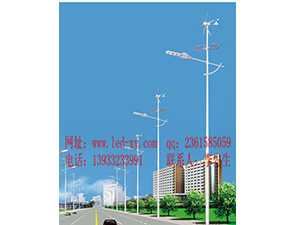 風光互補太陽能路燈FGD-22 風光互補太陽能路燈FGD-22