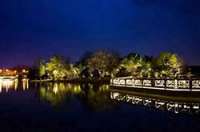 防疫抗疫，負重前行，太陽能路燈廠家牛氣沖天，犇起來?。?！