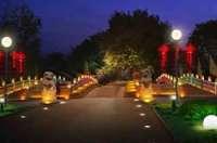 子鼠抖尾辭舊歲，金牛昂首奮進年——致各界朋友及全體員工春節慰問信