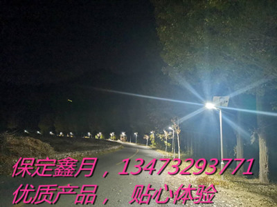 太陽能路燈,太陽能路燈市場